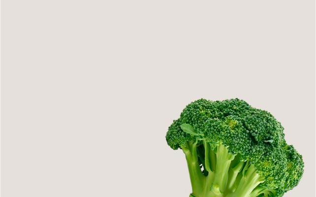 Fresh Broccoli