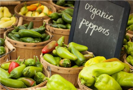 Picture for category Icon Collections