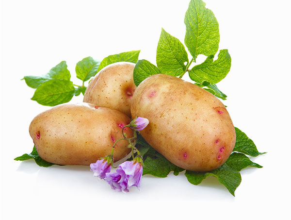Picture of Potato