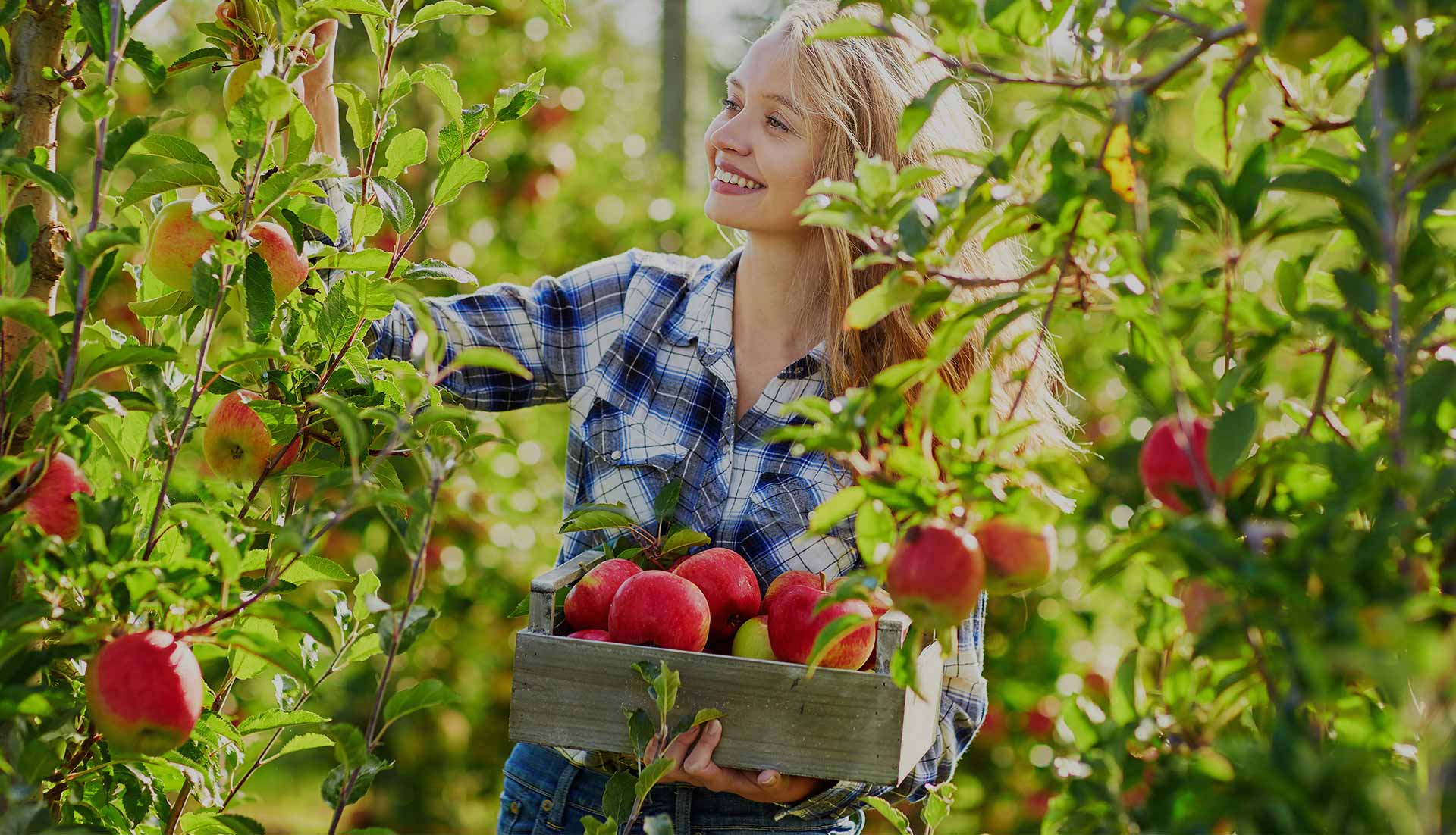 Swift Slider Hero Image